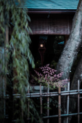 祇園 ＃6