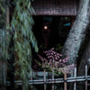 祇園 ＃6