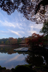 秋の奈良公園3