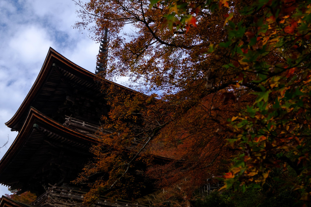 金剛院1