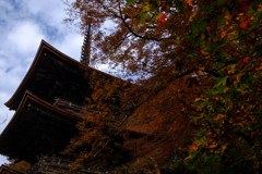 金剛院1