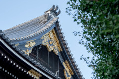 屋根を見上げて