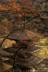 秋色の三重塔
