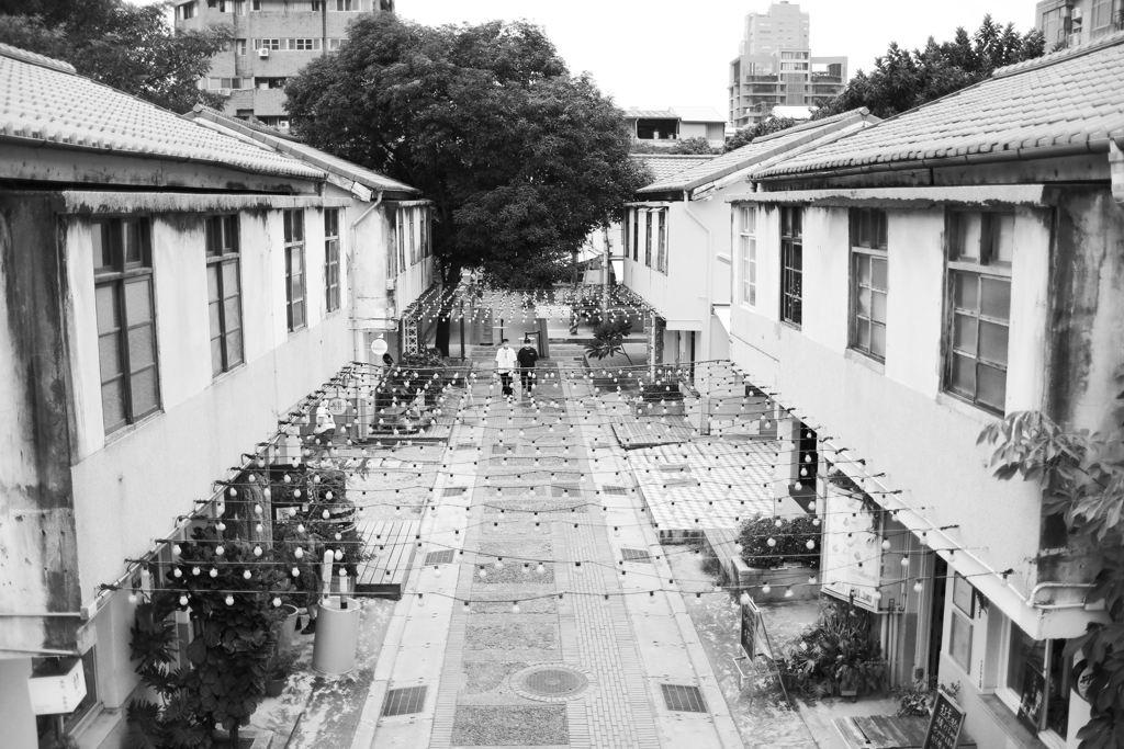 YAO_9887