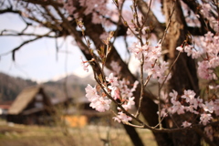 合掌