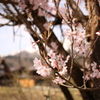 合掌