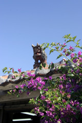 竹富の屋根を守る