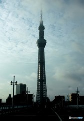 Good morning TOKYO