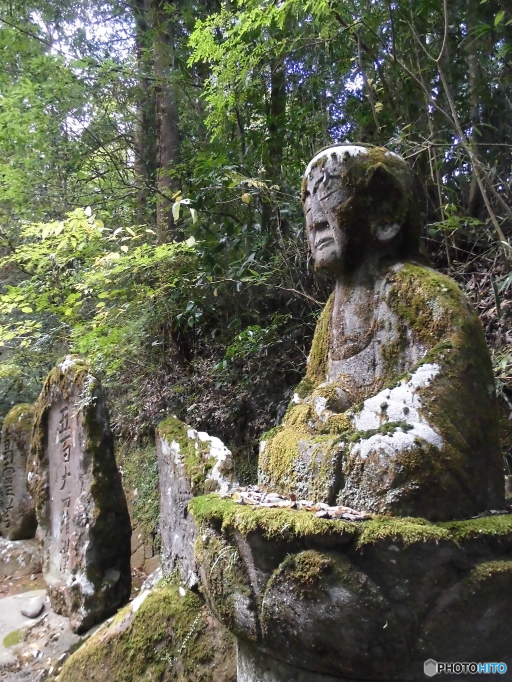 修業は苔生す迄