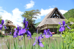 白川郷