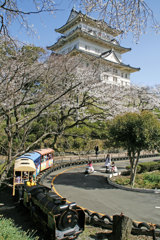 小田原城と豆汽車