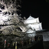 夜桜の小田原城