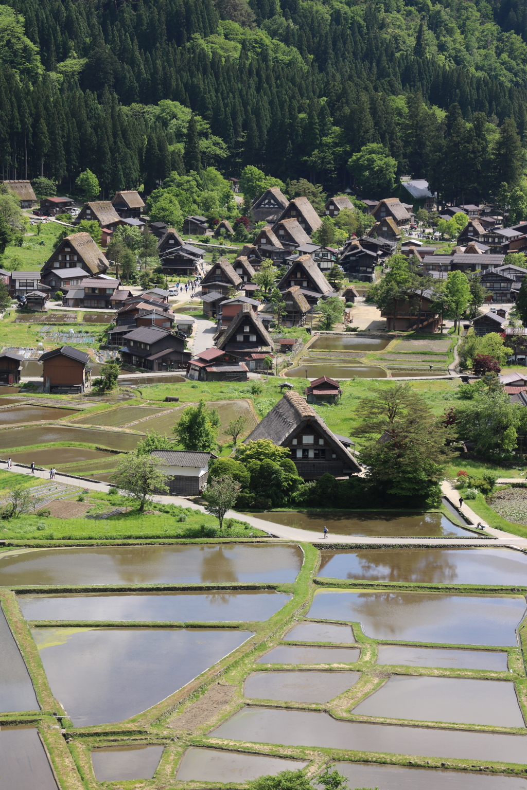 白川郷