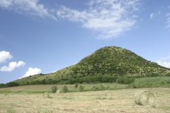 石垣島の風景