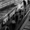 家路