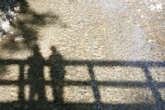 橋