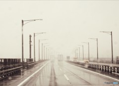 モノクロームの雨の中を