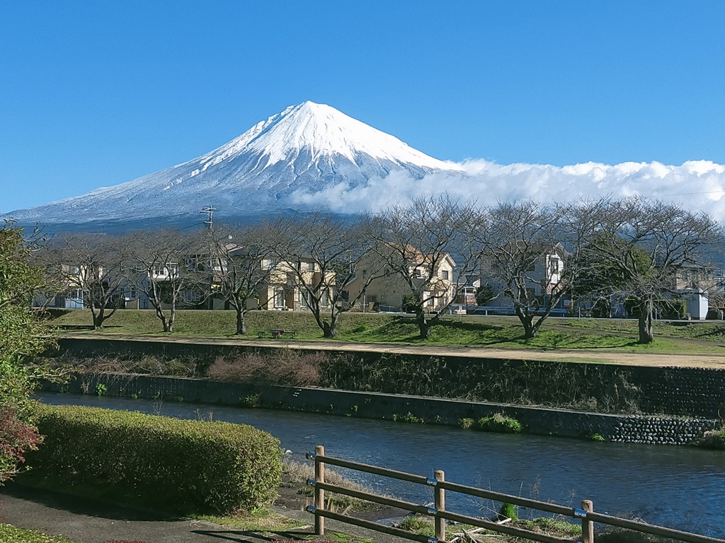 なんとなく「正しい富士山」って感じ？