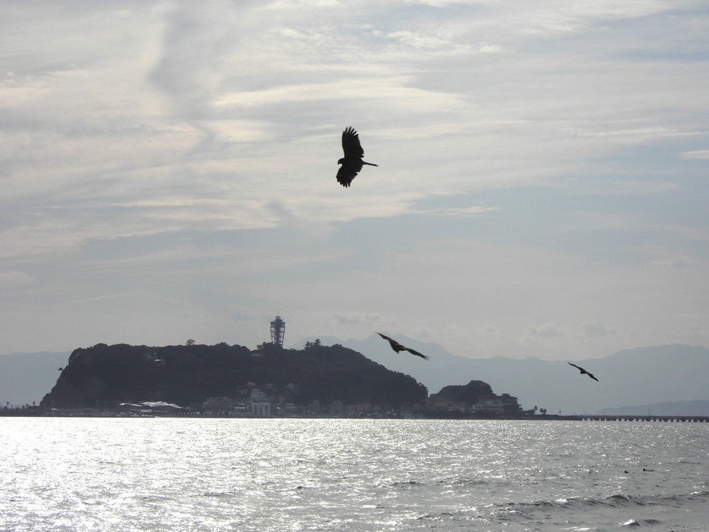 湘南とトンビと江ノ島と