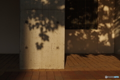 朝影