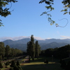 前田森林公園