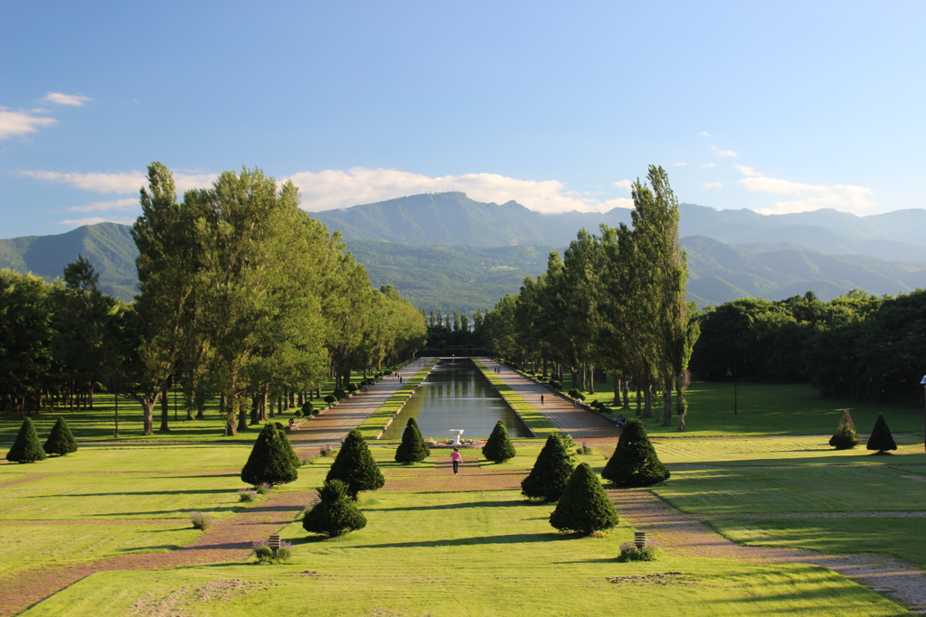 前田森林公園