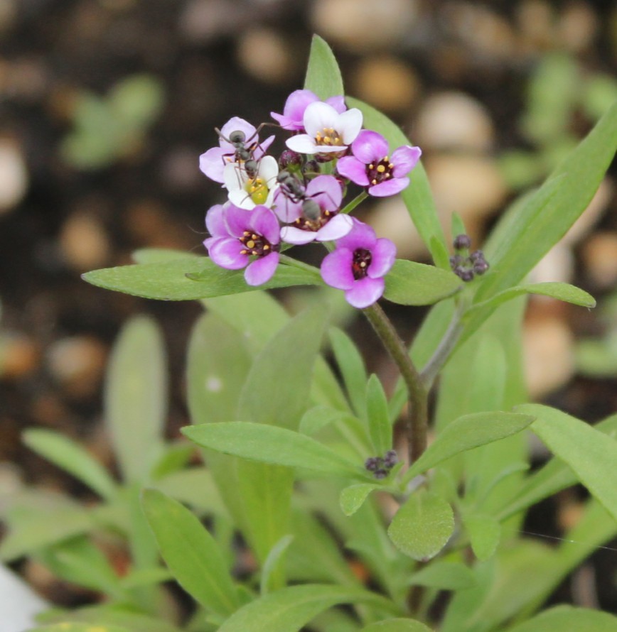 PicsArt_06-13-11.24.51