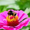 IMG_20170722_123813_104