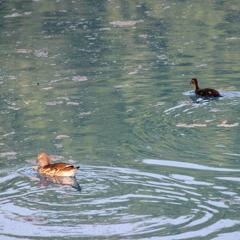 IMG_20170708_063716_916