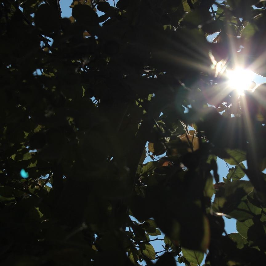 IMG_20170708_062851_661