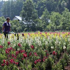 IMG_20170708_062851_663