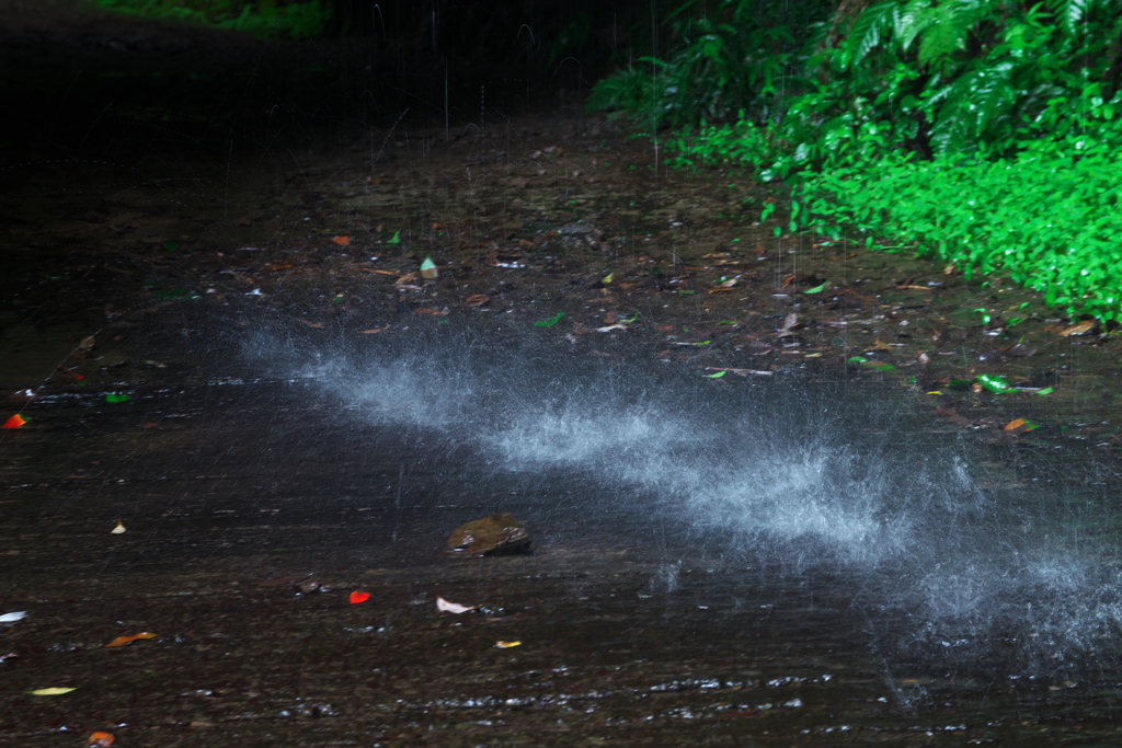 水飛沫