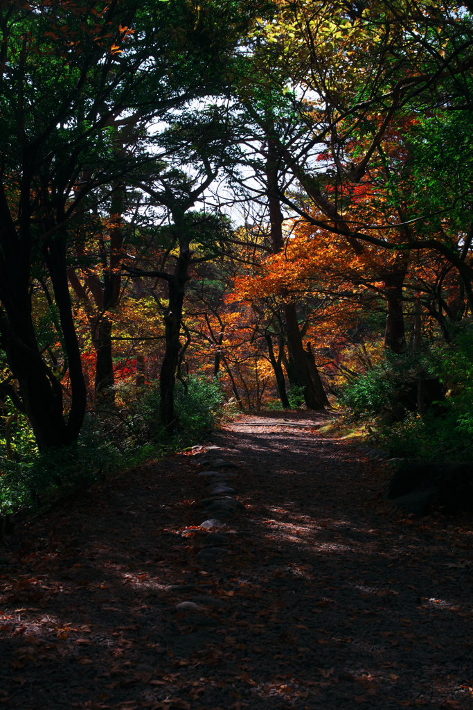 山道