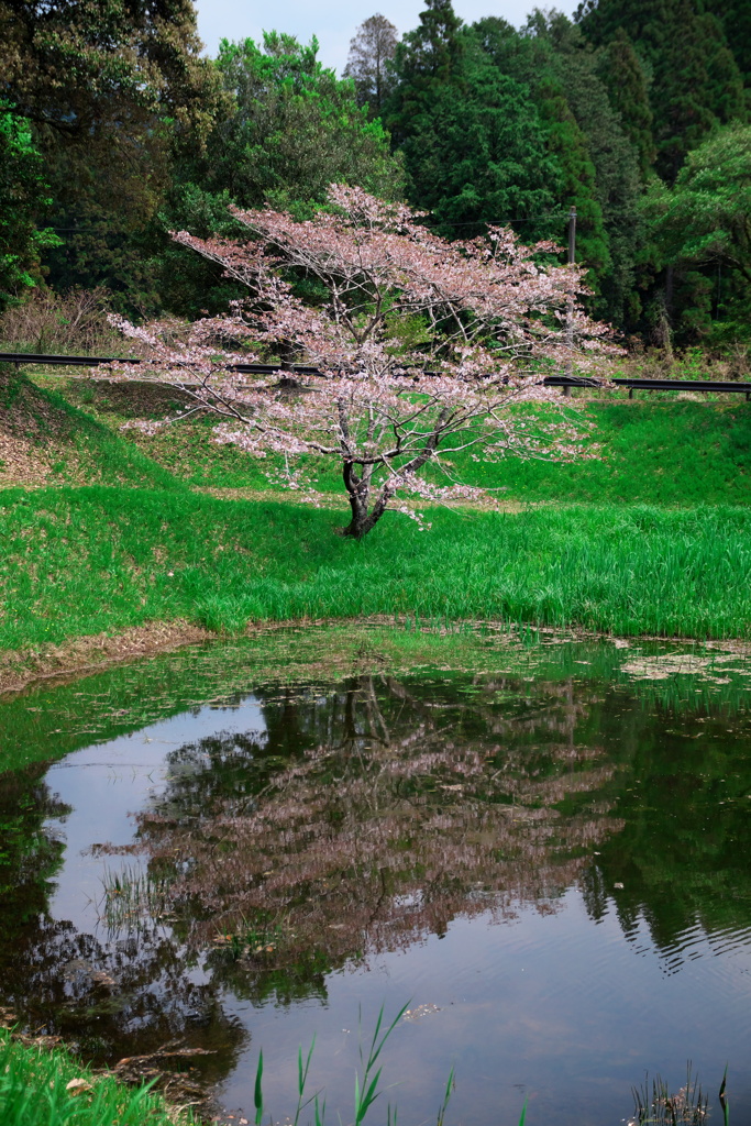 最後かな