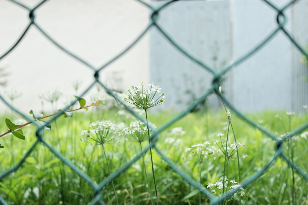 見えていても触れることはできない