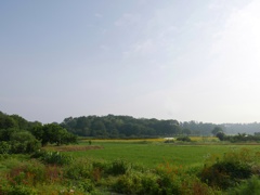 朝の風景