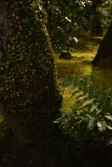 D75_0191_01_R