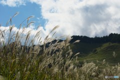 D71_5862_R