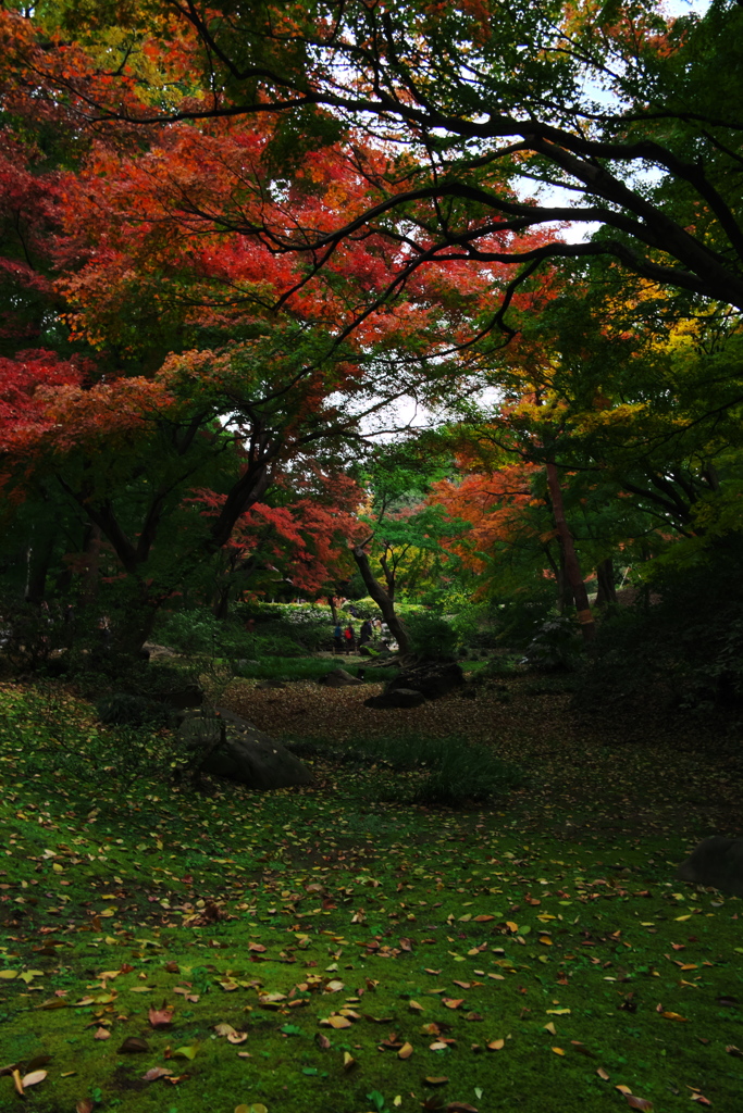 六義園の紅葉