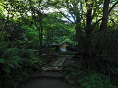 三渓園 横笛庵を望む