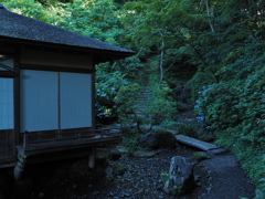 三渓園の聴秋閣と紫陽花