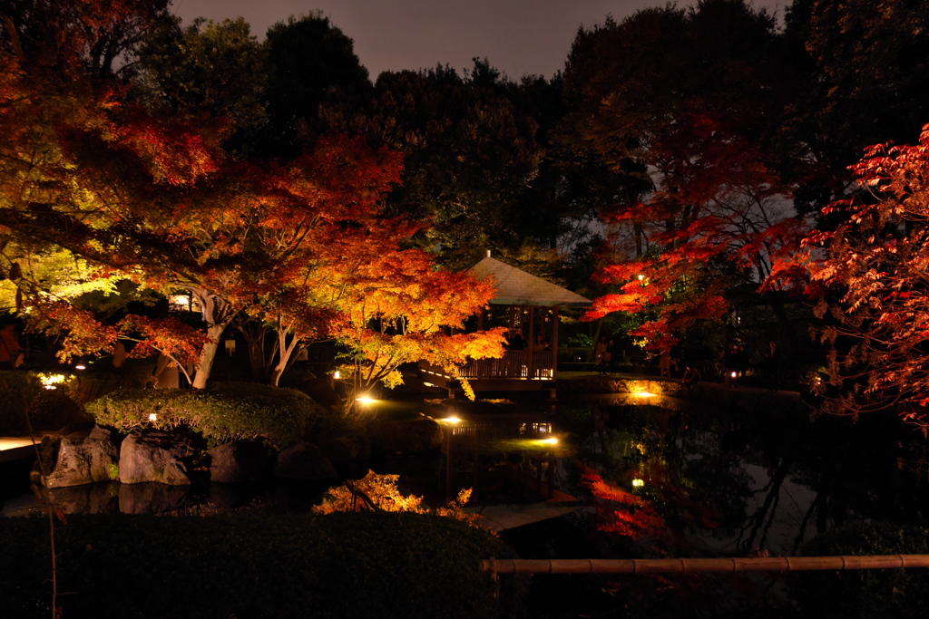 大田黒公園1