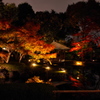 大田黒公園1