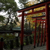 乙女稲荷神社２