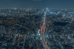 六本木通りの夜景