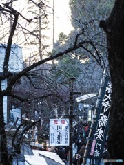 深大寺の賑わい2