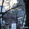 深大寺の賑わい2