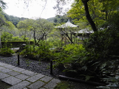 鎌倉 瑞泉寺 境内