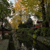 乙女稲荷神社1