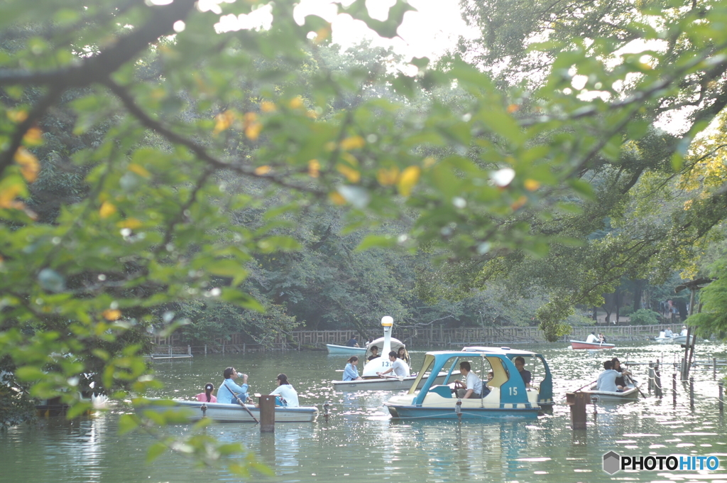 井の頭公園の平和な光景